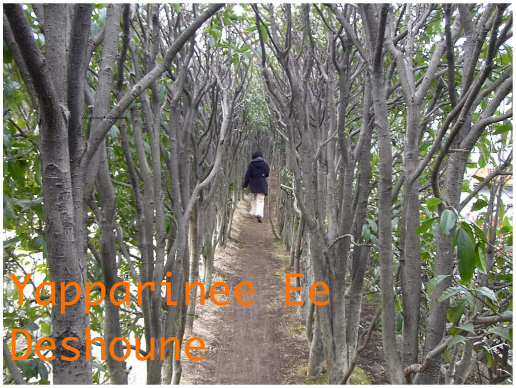 Yapparine Ee Deshoune