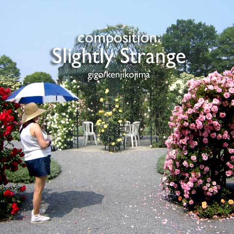 composition: Slightly Strange ����