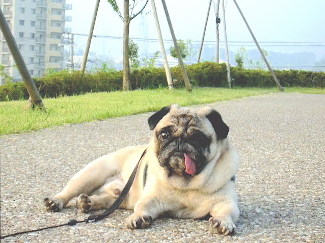 �ƥĤϤ�������