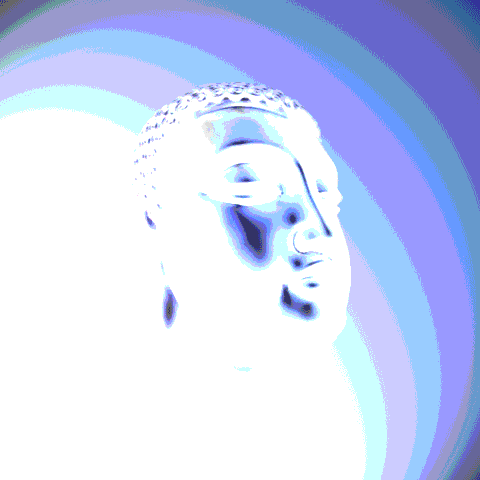 |||||��̣�˸������ȡ�����||||