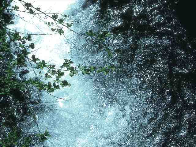 ̵����ˤ�뼫��Ĵ��