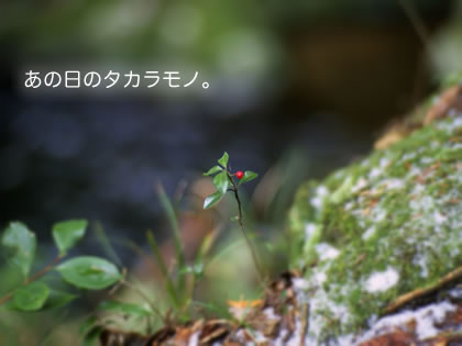 �������Υ������Ρ�