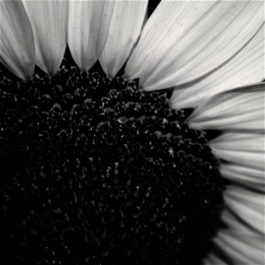 �������󥿥�ʤ���