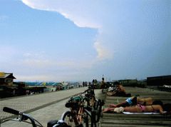 ���������륬���Ƥ�����(rock�ǡ�