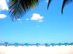 ��������Υϥ磻