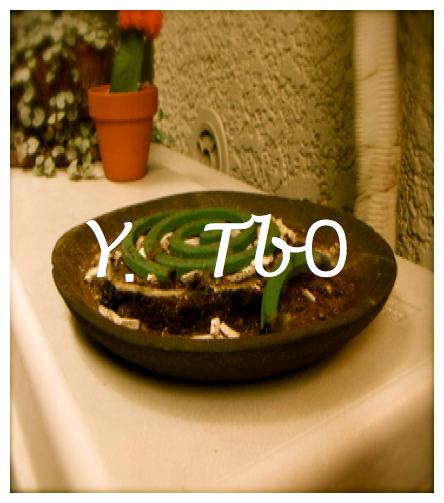 Y.TBO