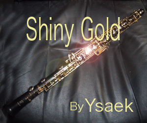 Shiny Gold �����ܥ������С��С������