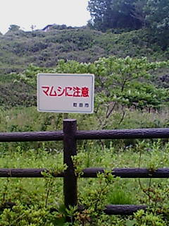 Goin`Back Country Blues