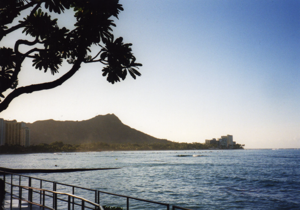 ��������ϥ磻����