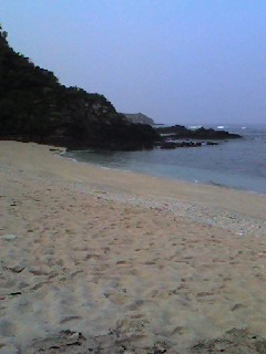 �ƥ������ʶ��۲���̱�أ���