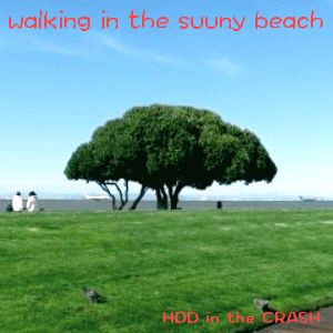 walking in the sunny beach