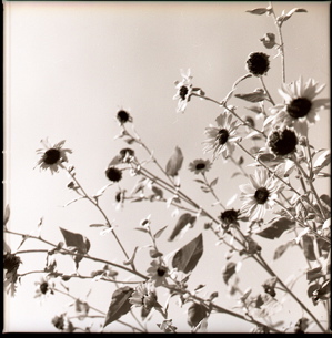 what is rare groove?