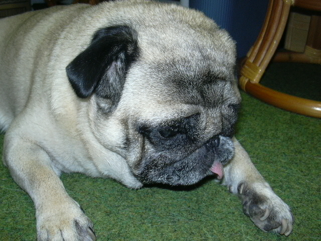 �ᤷ���ƥ�