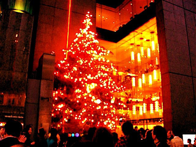 ˺��äݤ��ܥ���with kuroneko)