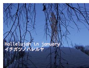 Hallelujah in january