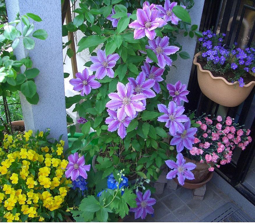 �Ϥ뤫�फ����