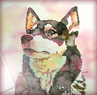 MOMO�˻��֤Τʤ����