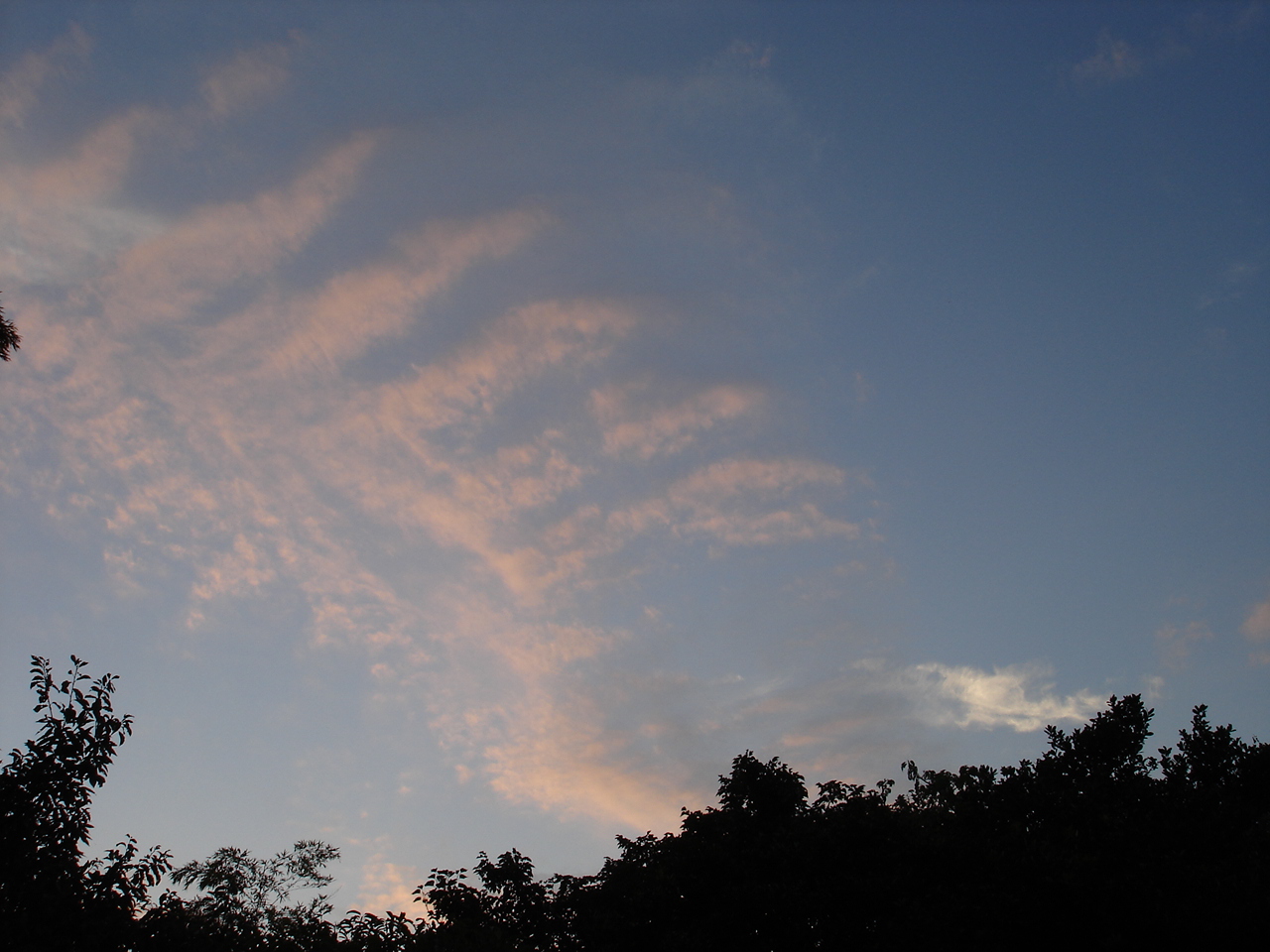 ������ι��