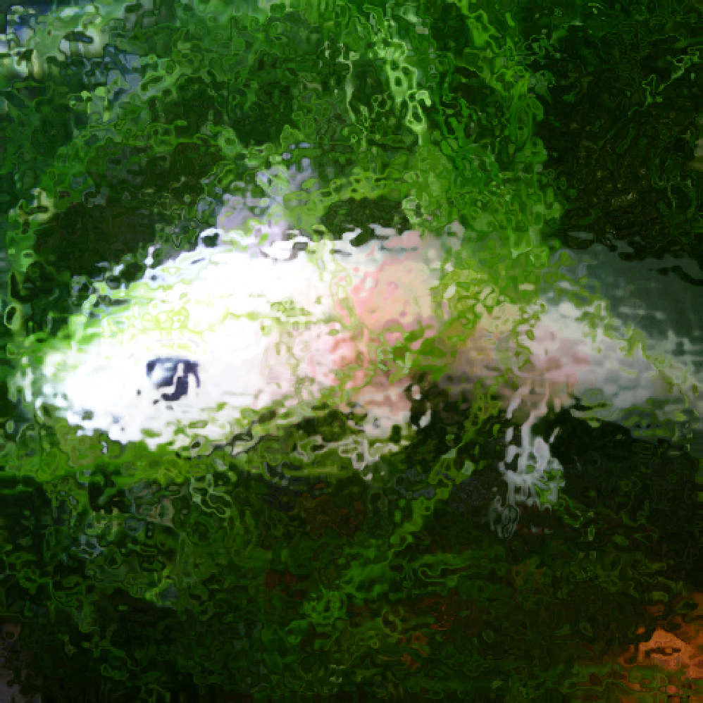 �����ѡ��롼�ѡ�