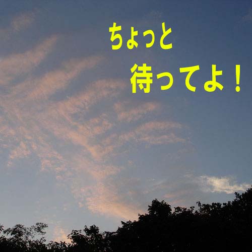 ����ä��ԤäƤ衪