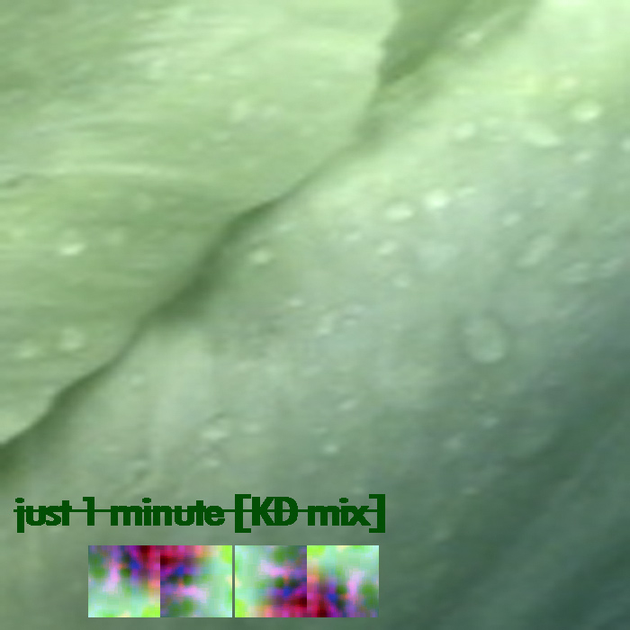 just 1 minute [KD mix]