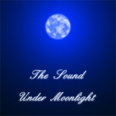 Far Beyond the Moon