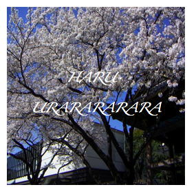 HARU URARARARARARA