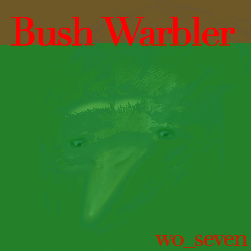 Bush Warbler