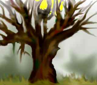 �������Ƨ