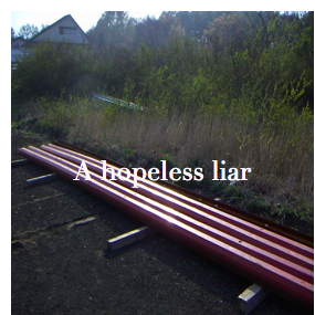 A hopeless liar (���ʥ����Υ˥�����ϥ���ʥ���