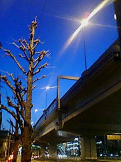 Traveling With My Blues