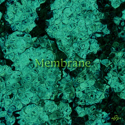 Membrane
