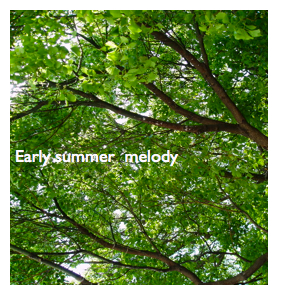 Early summer  melody