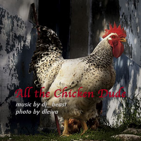 All the Chicken Dude Must Have A Feater Tail