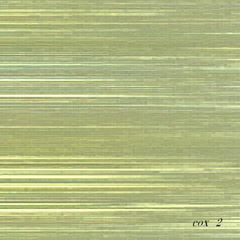 ���Ȥ���