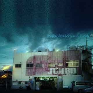 ̵ȼ�եॸ�����쥯�ȥ��ϥ��˥���