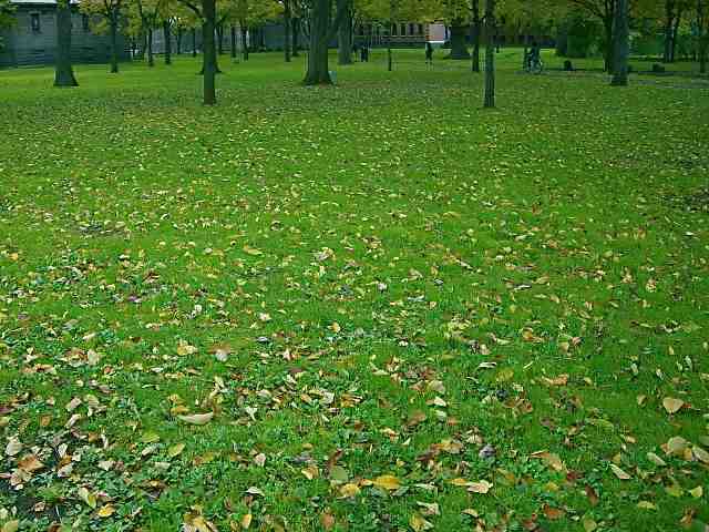 CoolCat(infinity&kcsaito)