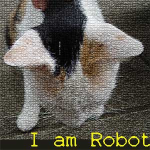 IAMROBOT
