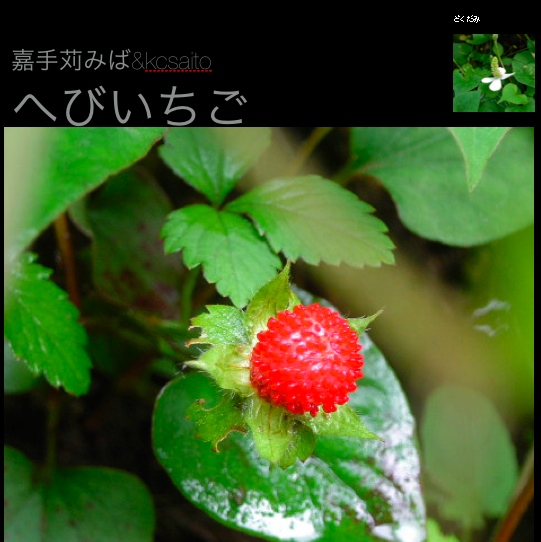 �ؤӤ�����