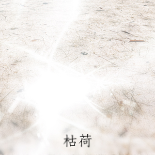 枯荷
