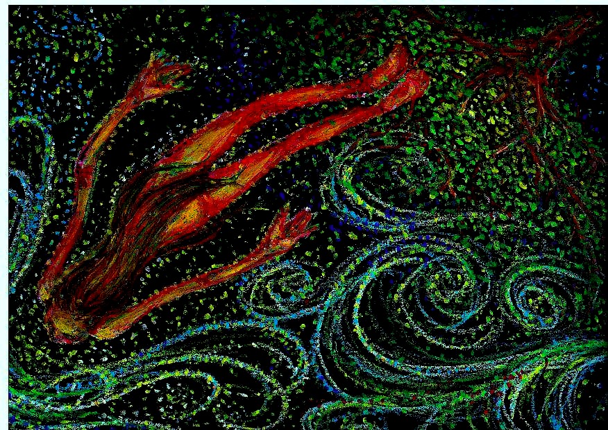 ̲���������������