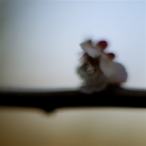 Feel like '72(�����BPM)