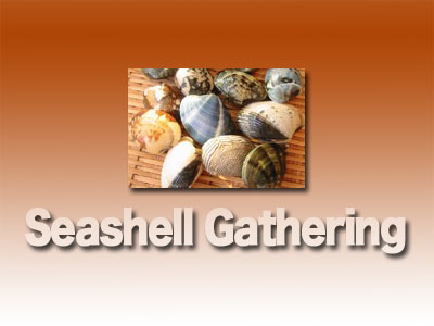 (改)シーシェル(愛しのアサリちゃん)