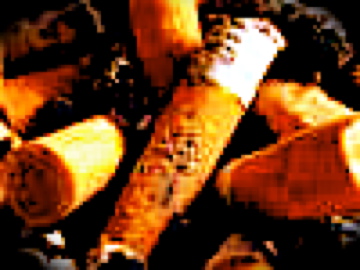 KanKan sings "Funky Go Home!"