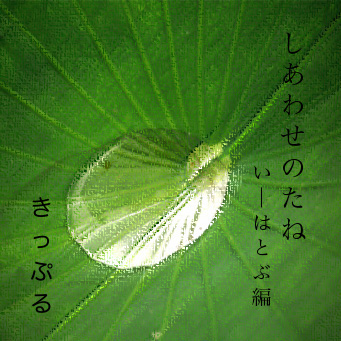 �����碌�Τ��� (�����ϥȥ���)