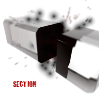 Section