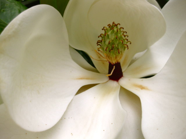 ���ʤ��Τ������������Ȥ�