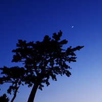 �����餷��Ԣ�˥åݥ󡡡��ա��ơ�