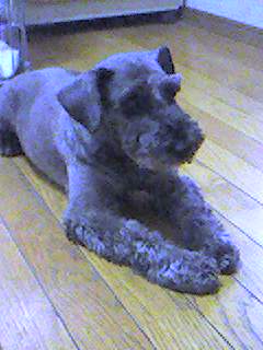 �餷����̥���