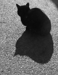 ����äݤΤ�����